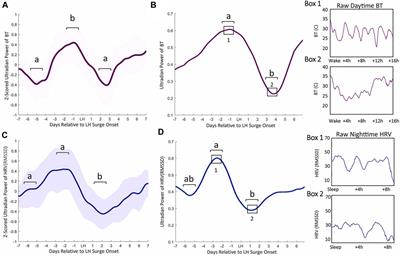 Neural substrates underlying rhythmic coupling of female reproductive and thermoregulatory circuits 